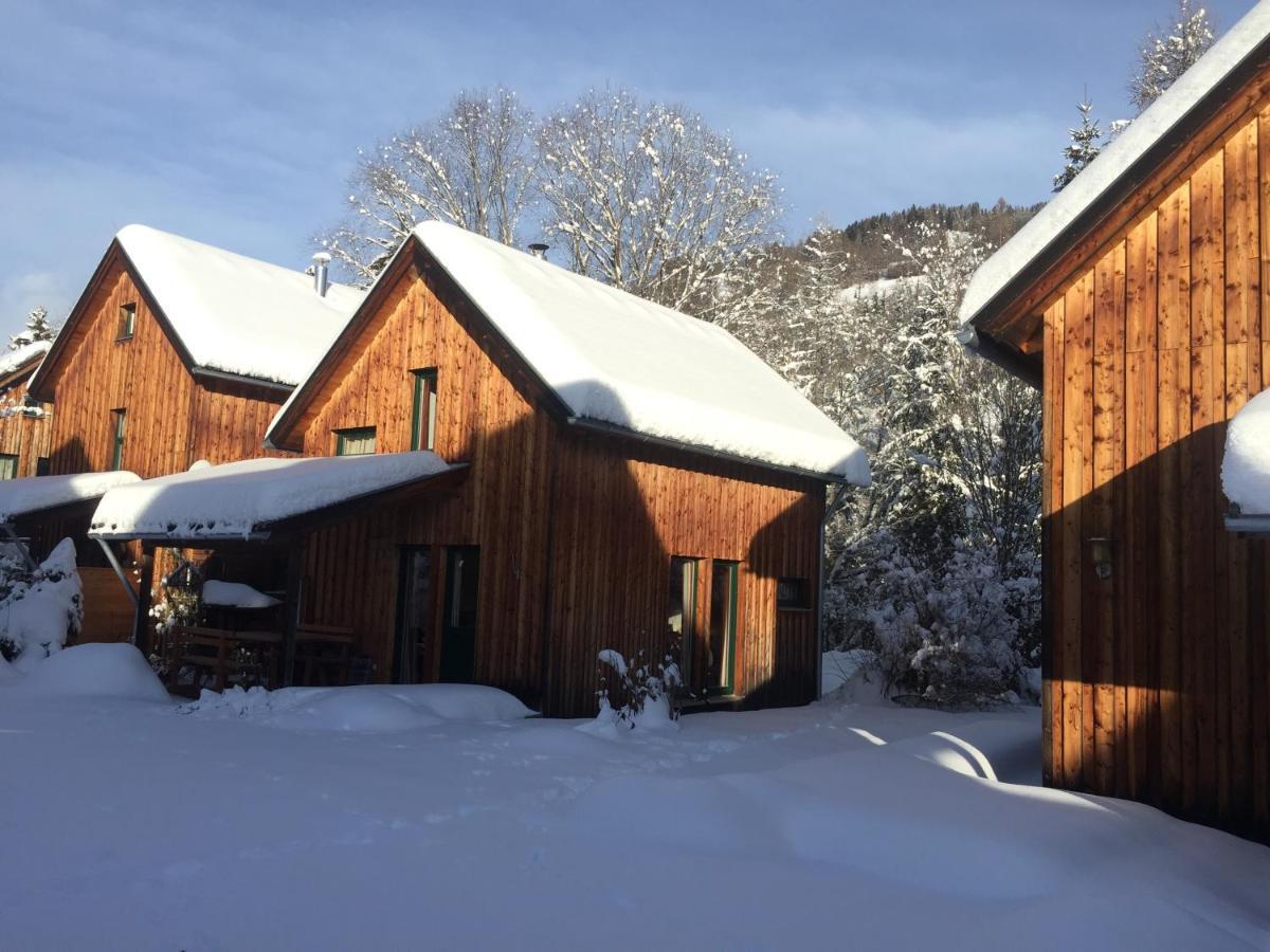 Alpenferienhaus Sophia Санкт-Лоренцен-об-Мурау Экстерьер фото